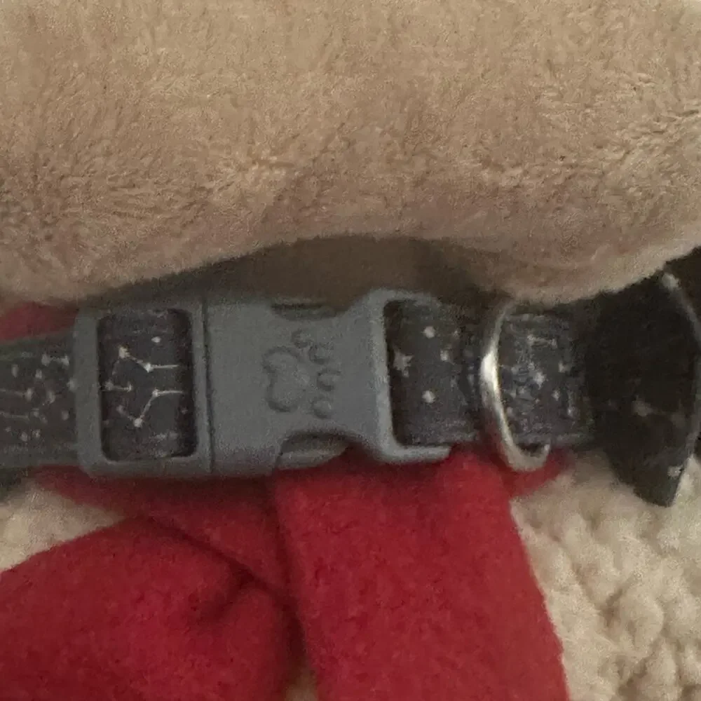 Dark grey stars/galaxy dog collar - Size Medium